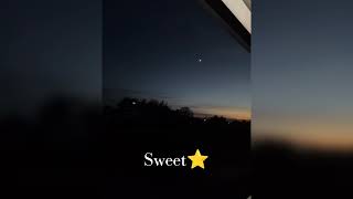 STAR - Sweet