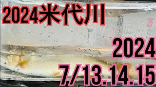 米代川で鮎釣り 2024.7/13.14.15 鹿角地区の3連休