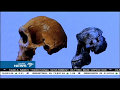 'Neo' discovered at the Cradle of Humankind