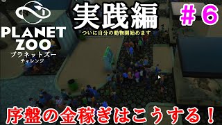 【動物園　経営シュミレーション】「Planet Zoo」プラネットズー　＃６　序盤の金稼ぎはこうする！我が動物園開園！