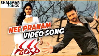 Nee Pranam Video Song || Shankara Movie || Nara Rohit, Regina Cassandra || Shalimar Songs