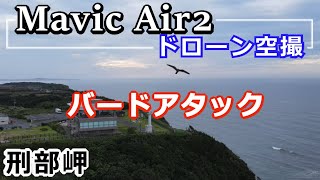 【Mavic Air2 4kドローン空撮】 千葉県旭市　刑部岬　バードアタック 2022 08 17