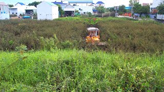 Perfect clearing forest for build \u0026 factory by amazing \u0026 Dozer KOMATSU D31P