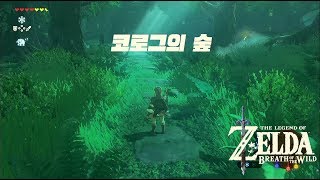 젤다 야생의 숨결 ZELDA Breath of the Wild #35 미로숲을 지나 코로그의 숲 / LOST WOODS EXIT KOROK FOREST