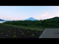 lake kawaguchi oishi park a spectacular spot where you can see mt. fuji yamanashi japan 4k