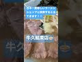 【日本一美味しいラーメンショップ】ネギチャーシュー