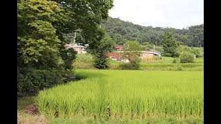 내 고향은 꽃피는 산골 파평면 용산골이래유