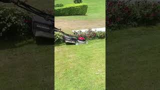 garden cleaner machine