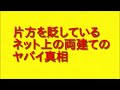 片方を貶しているネット上の両建てのヤバイ真相について話してみた！