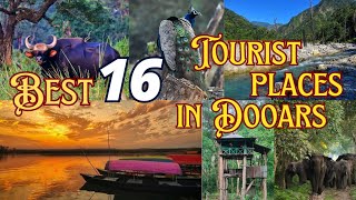 Best Tourist Places In Dooars | Best Tourist Places In North Bengal | Dooars Tour Guide