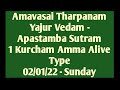 Amavasai Tharpanam Yajur Vedham Apastamba Sutram 1 Kurcham Amma Alive Type 02 01 22 Sunday