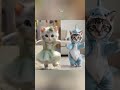 Cute dancing cats, 1 or 2 ? #cat #dance #cute #funny #catvideos #catlover #kitten #animals #shorts