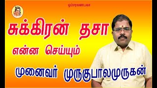 Effects of Sukra dasha | சுக்கிர தசா என்ன செய்யும் | Astrology | Murugubalamurugan