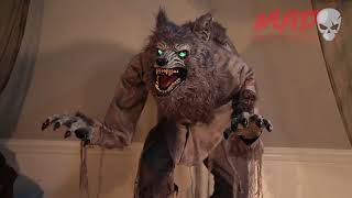 Exclusive First Look - Animated Lanky Werewolf - Halloween Prop