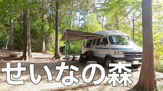 【ソロキャン】せいなの森キャンプ場②