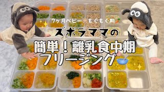 【離乳食中期/もぐもぐ期/簡単フリージングしてみた🥣】