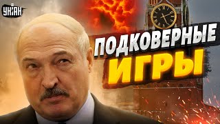 Подковерные игры Лукашенко. Усатый выжидает, чтобы нагадить Путину - Мартынова