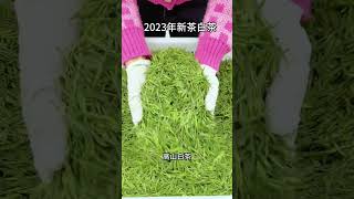 2023年新茶白茶，喜欢快点击头像看看吧# 爱喝茶的关注我 # 今天你喝茶了吗 # 召唤茶友！#喝茶 #喝茶有講究，喝茶步驟，wechat：zcj049 #召唤茶友