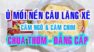 Ủ MỒI NỀN CÂU LĂNG XÊ CHÉP SÔNG | CÁCH Ủ CÁM NGÔ CHUẨN | MỒI CÂU CHÉP MÙA ĐÔNG | SÔNG HỒNG