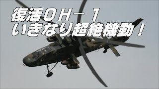 去り行くOH-6と復活のOH-1が世代交代式で大暴れ！ 明野駐屯地航空祭 2019 / さようならOH-6D！ おかえりOH-1！ JGSDF Camp Akeno Air Show 2019