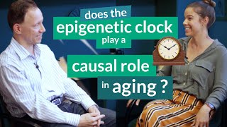 Does the epigenetic clock play a causal role in aging? | Steve Horvath