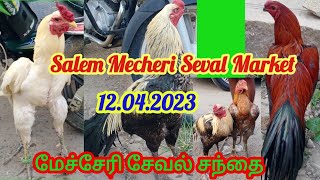 சேலம் மேச்சேரி சேவல் சந்தை 19.4.2023.Salem Mecheri Seval Market on 19.4.2023.