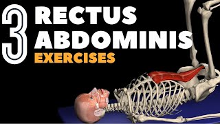 Target Your Rectus Abdominis with 3 Ab Exercises