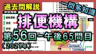 【過去問解説：第56回国家試験-午後65問目】排便機構【理学療法士・作業療法士】