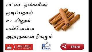 Benefits of drinking # பட்டை தண்ணீரை குடிப்பதால் கிடைக்கும் நன்மைகள்