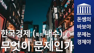 한국경제 (특히 내수) 무엇이 문제인가 - 돈쌤's 경제강의 :  바보야 문제는 경제야