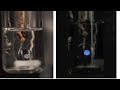 electrochemiluminescence ecl corannulene