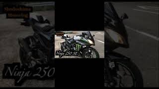 「Ninja250」＃shorts Ninja250 AKRAPOVIC マフラー音（プラグ・エアフィルター変更）