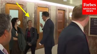 BREAKING NEWS: Mitt Romney Confronted By Pro-Ceasefire Protester—Watch His Direc