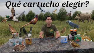 Qué cartucho debemos elegir para cazar? Perdigones y cargas