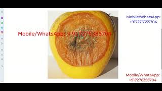Apple Fruit Disease Detection Using Image Processing | Python Project With Source Code