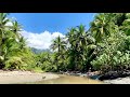 Playa Ventanas, Costa Rica's most beautiful beach in Bahia Ballena