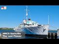 HMCS Sackville - The Perennial Flower