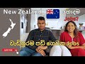 New Zealand Job Salaries | වැඩිපුරම පඩි ගෙවන Jobs | Sinhala Vlogs