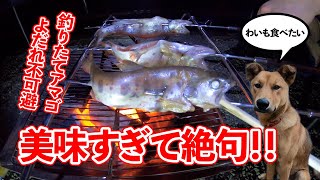 【キャンプ飯】釣りたての魚でBBQは美味すぎた【犬】