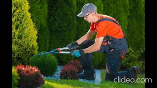 Kamloops Tree Service