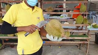 Musang King SS2