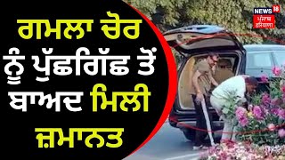 Gurugram Gamla Chori | ਗਮਲਾ ਚੋਰ ਨੂੰ ਪੁੱਛਗਿੱਛ ਤੋਂ ਬਾਅਦ ਮਿਲੀ ਜ਼ਮਾਨਤ | Gamla Chor | News18 Punjab