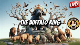 🔴15 Gold Heads To Start 2025 Off For The Buffalo King