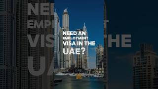 Here's what you need to know about the UAE employment visa #shorts #uaevisa