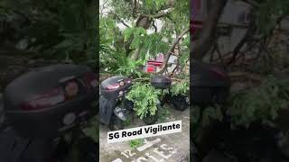 11jan2021 ang mo kio central fallen tree landed on motorbikes in the open air carpark