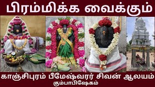 பிரம்மிக்க வைக்கும் பீமேஸ்வரர் சில ஆலய கும்பாபிஷேகம் | காஞ்சிபுரம் | Bheemeswarar Temple|Kanchipuram