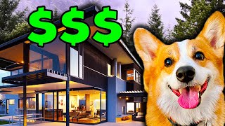 My Dogs Bought a House