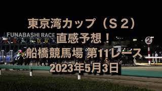 東京湾カップ（Ｓ２） 直感予想！ 船橋競馬場  第11レース 2023年5月3日