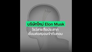 บริษัท Elon Musk โชว์สายสื่อประสาทเชื่อมต่อสมองเข้ากับคอม