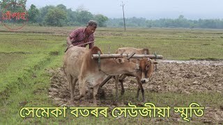 @HEPAHHemantaNath সেমেকা বতৰৰ সেউজীয়া  স্মৃতি